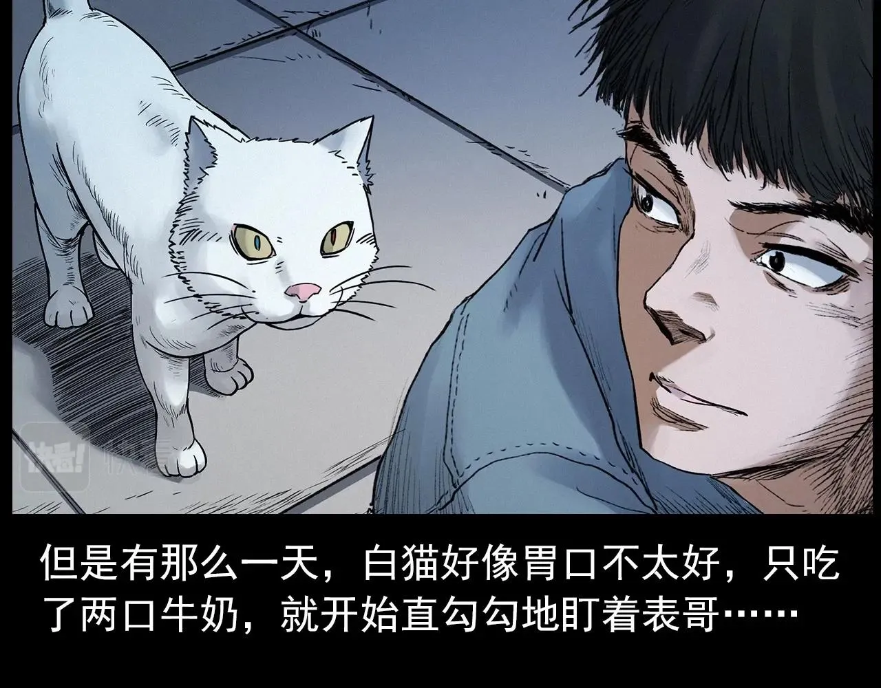 第412话 双瞳猫 第33页