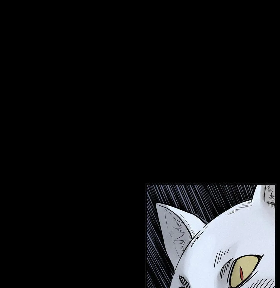 第412话 双瞳猫 第38页