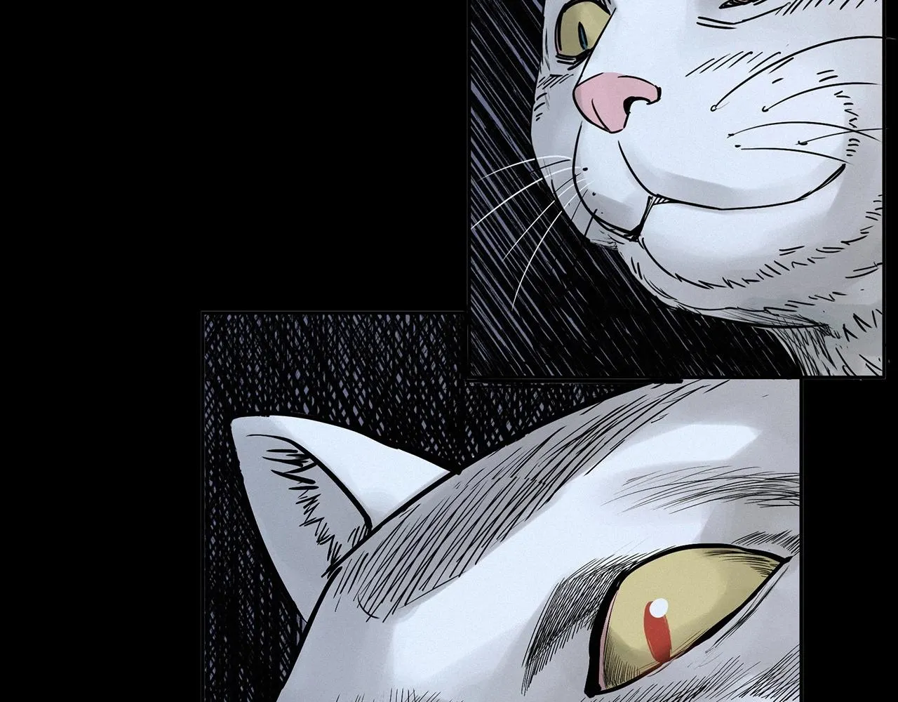 第412话 双瞳猫 第39页