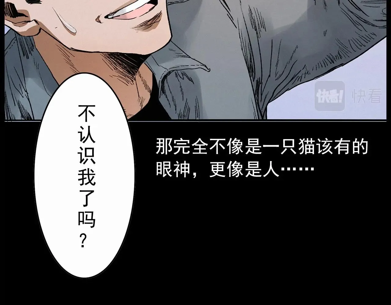 第412话 双瞳猫 第43页