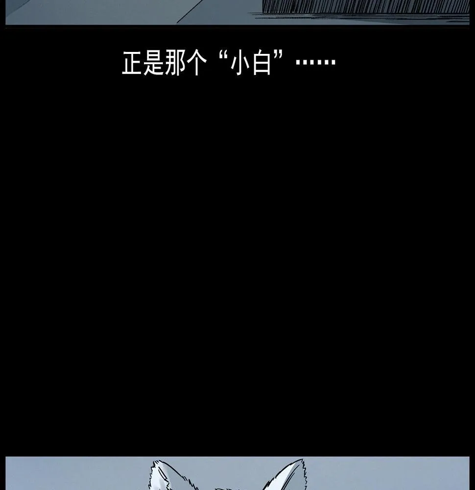 第412话 双瞳猫 第84页