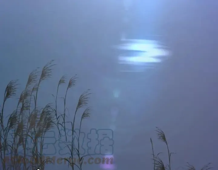 第54话 你这个大骗子 第5页