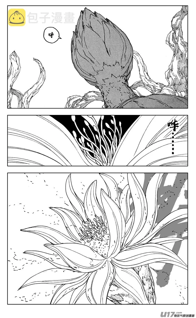 三五七 开花 第12页