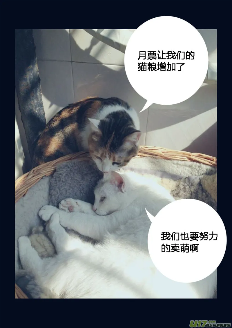 八十七 皇牌 第16页