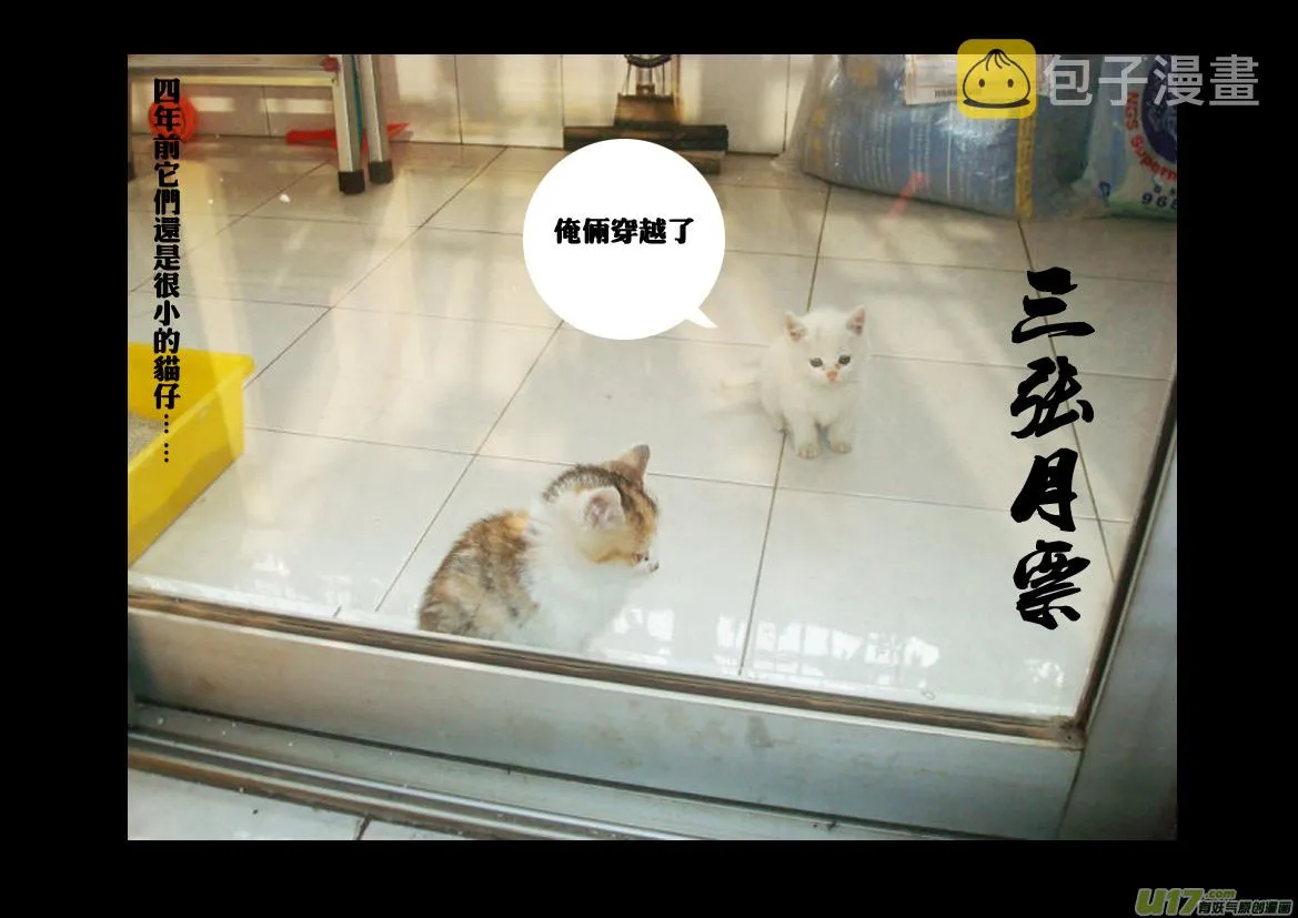 九十五 随风 第21页