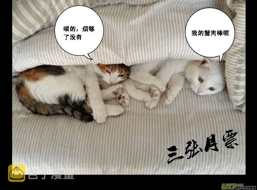 九十九 魔躯 第11页
