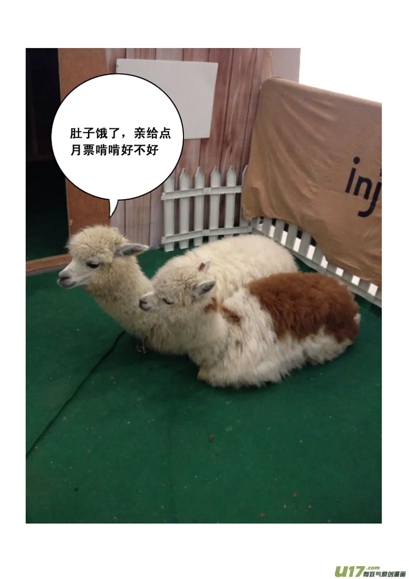 一百零二 伙伴 第14页