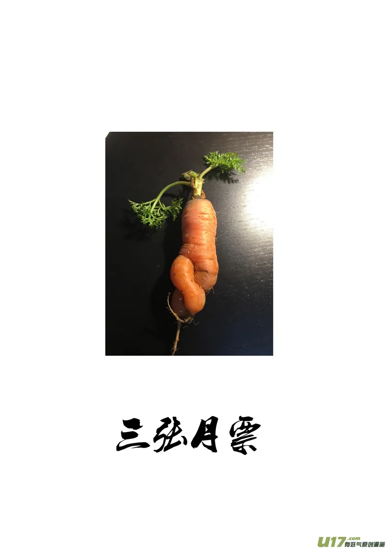 二三八 入侵 第17页