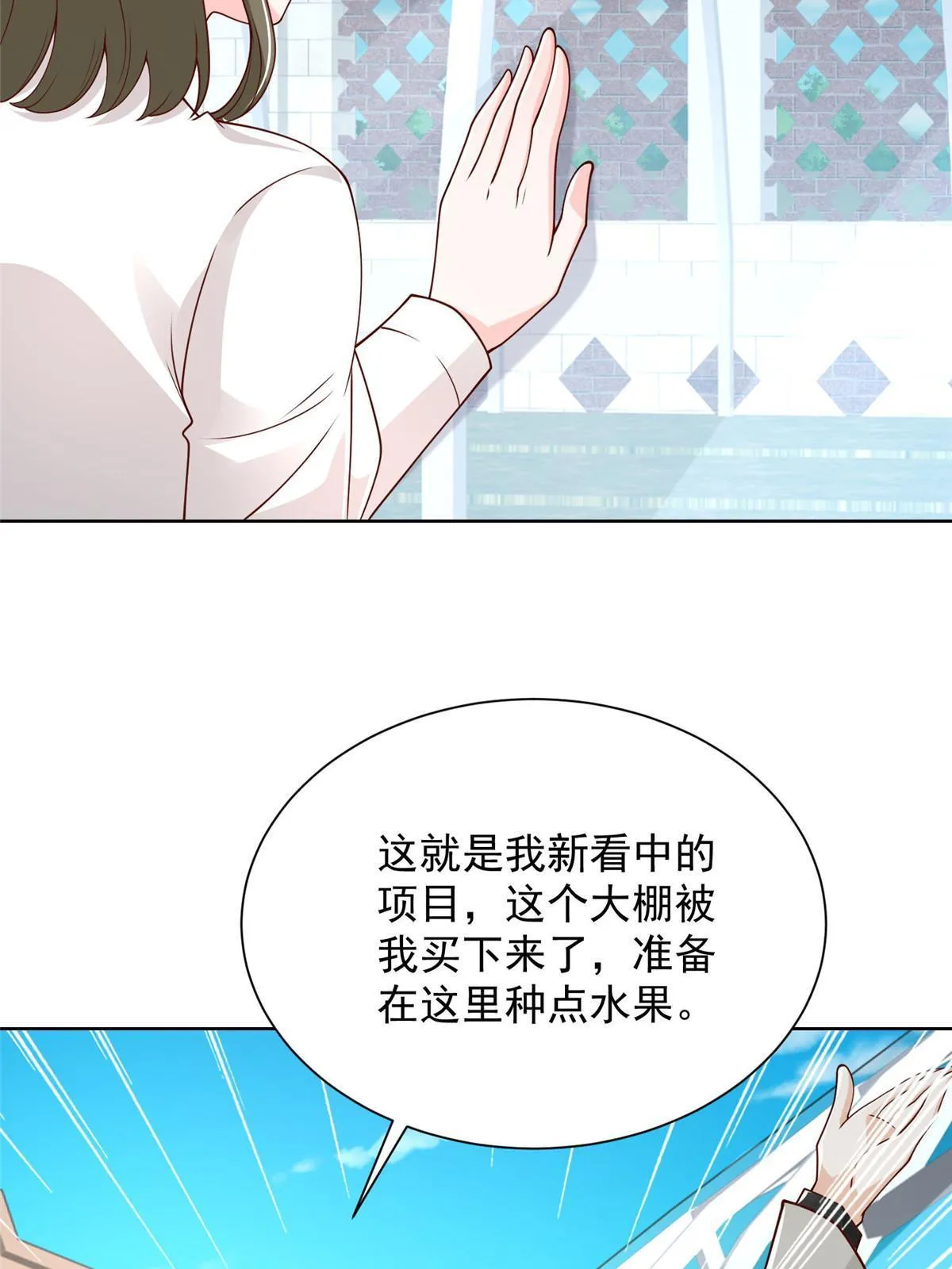 355 新项目计划书 第34页