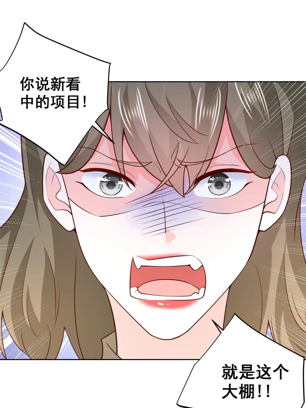 355 新项目计划书 第38页