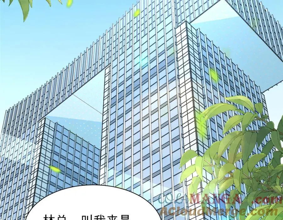 775 问题就在这 第40页