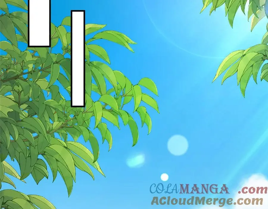778 该收网了 第81页