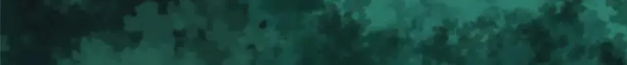 806 快走 第42页