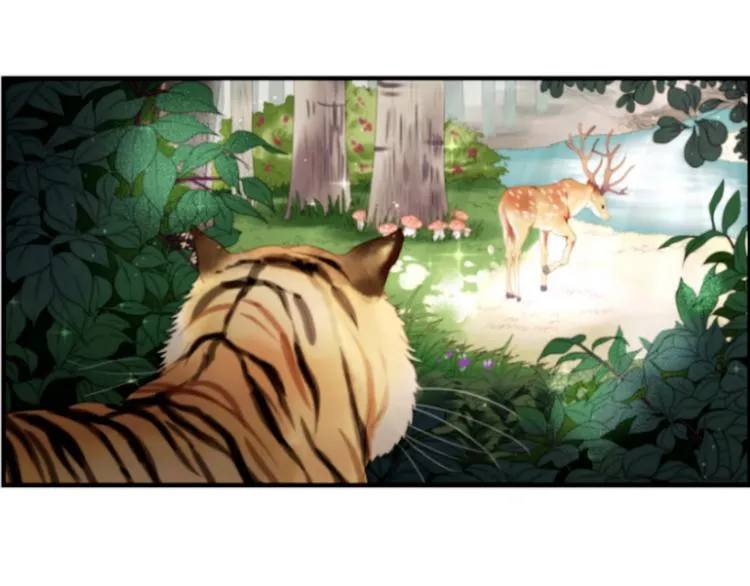 第1＋2话 捡到一只很萌的狐狸？ 第5页
