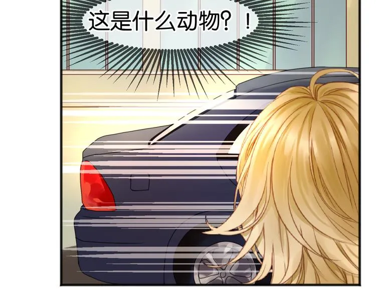 第1＋2话 捡到一只很萌的狐狸？ 第56页