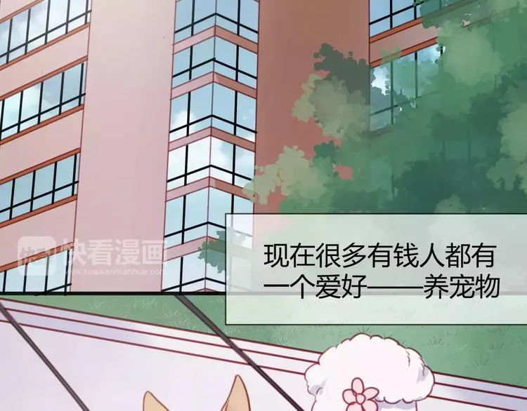 番外：最宠爱宠物的人 第3页