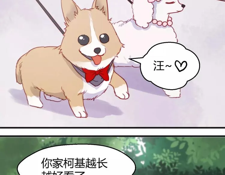 番外：最宠爱宠物的人 第4页
