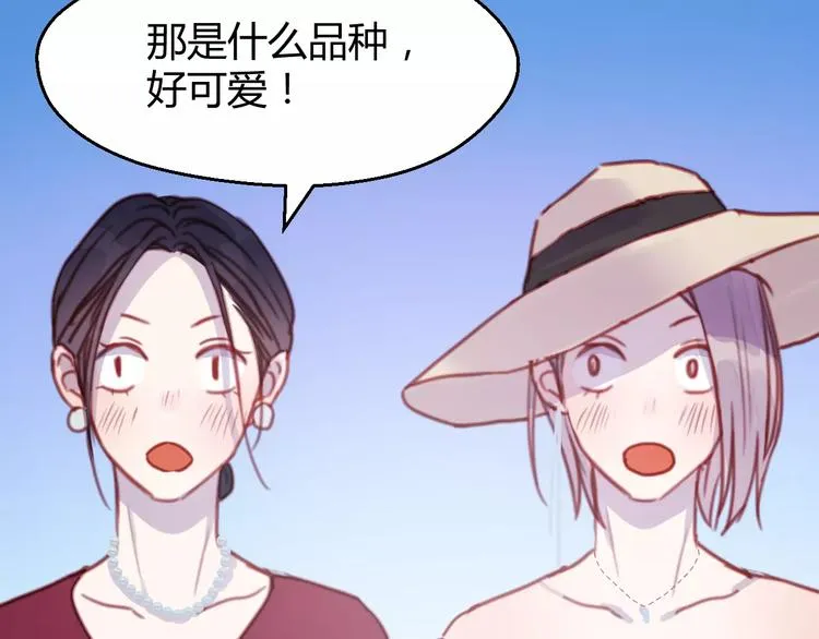 番外：最宠爱宠物的人 第12页