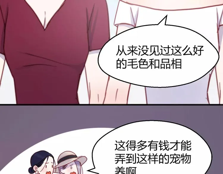 番外：最宠爱宠物的人 第13页