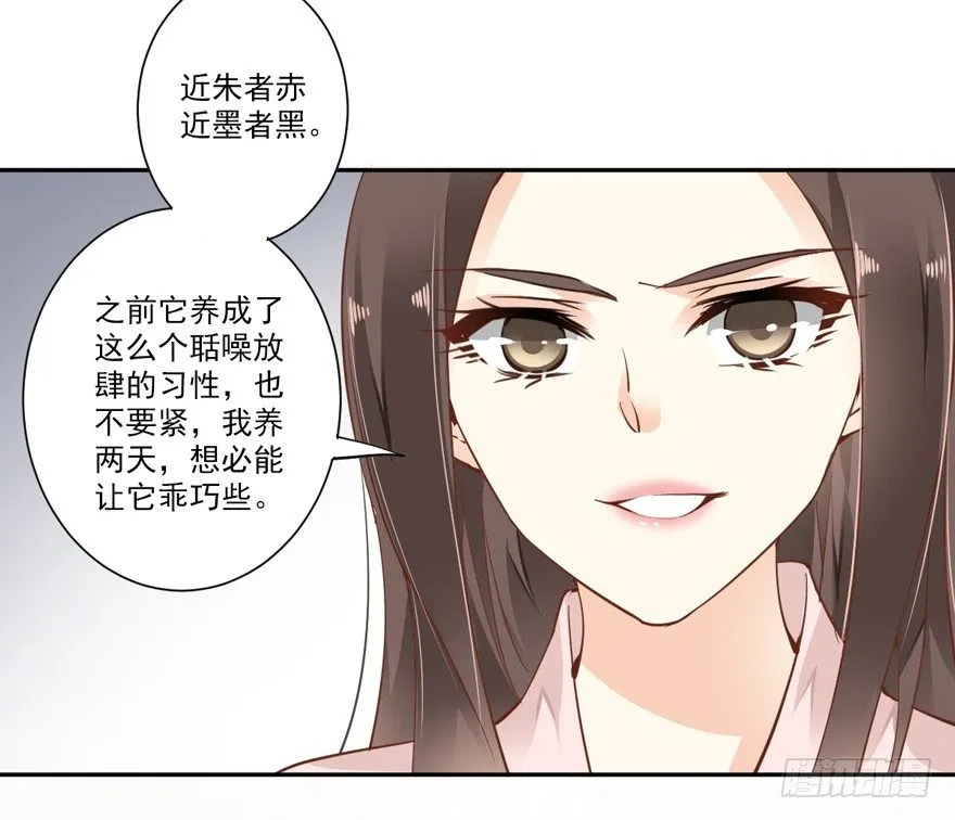 卫皇后的遗书 第35页