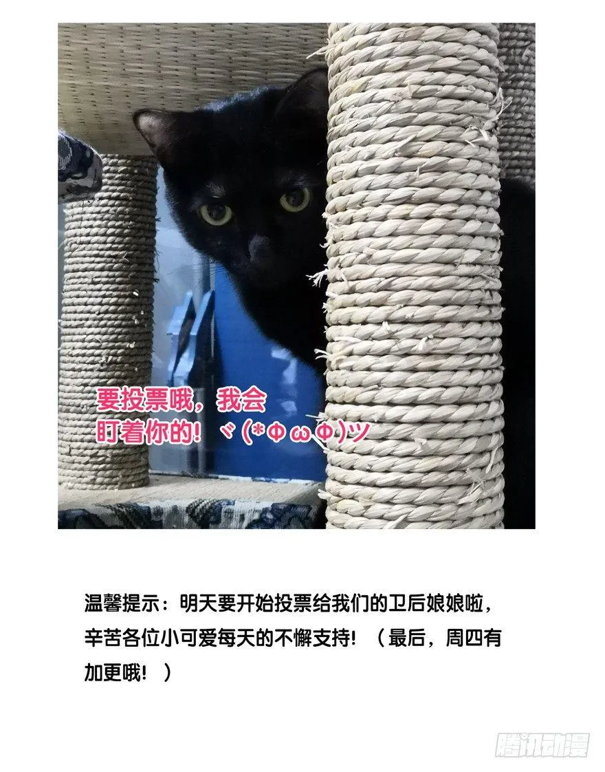元旦快乐，有福利图哟 第5页