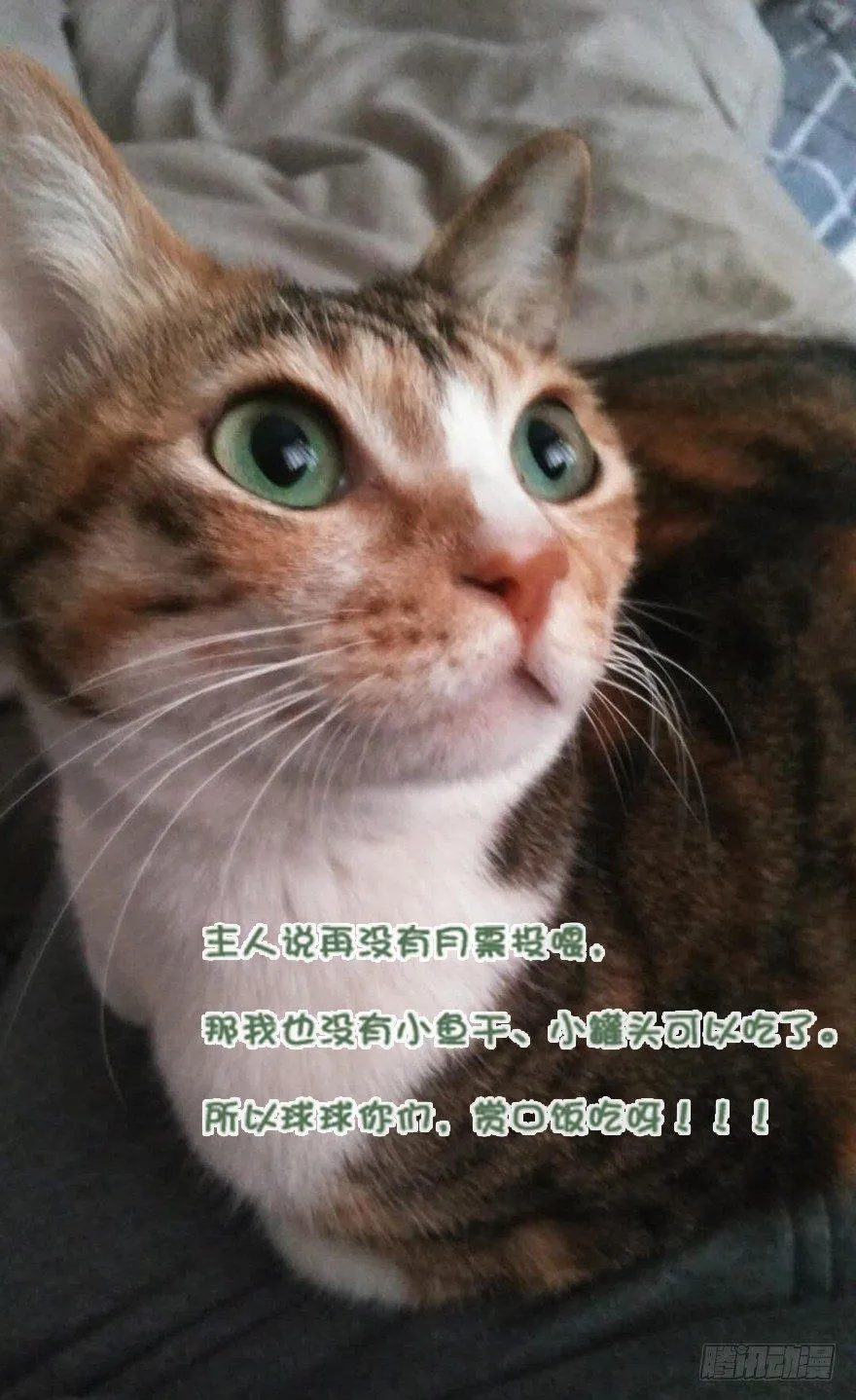 第四十话（上） 第35页