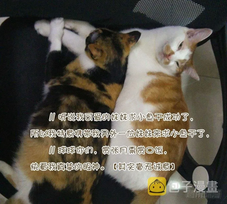 第四十话（下） 第33页