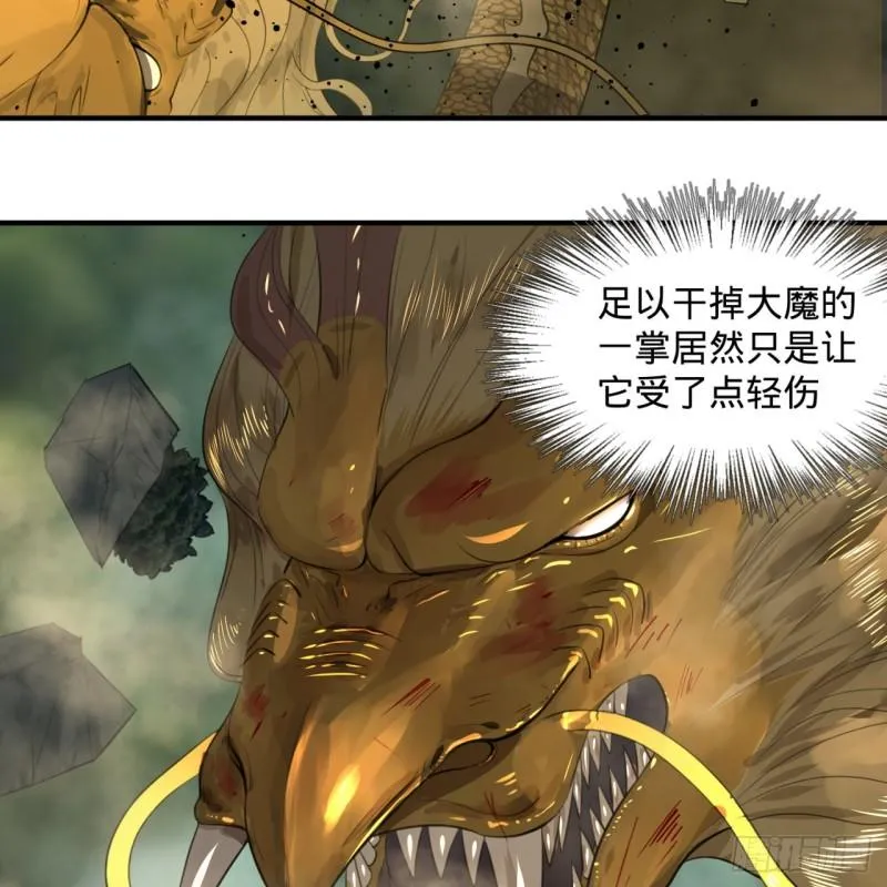113回 仙帝级别！ 第74页