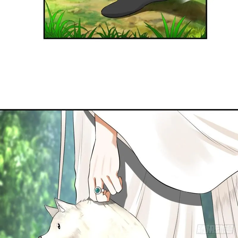 140回 姑娘，过两招？ 第50页