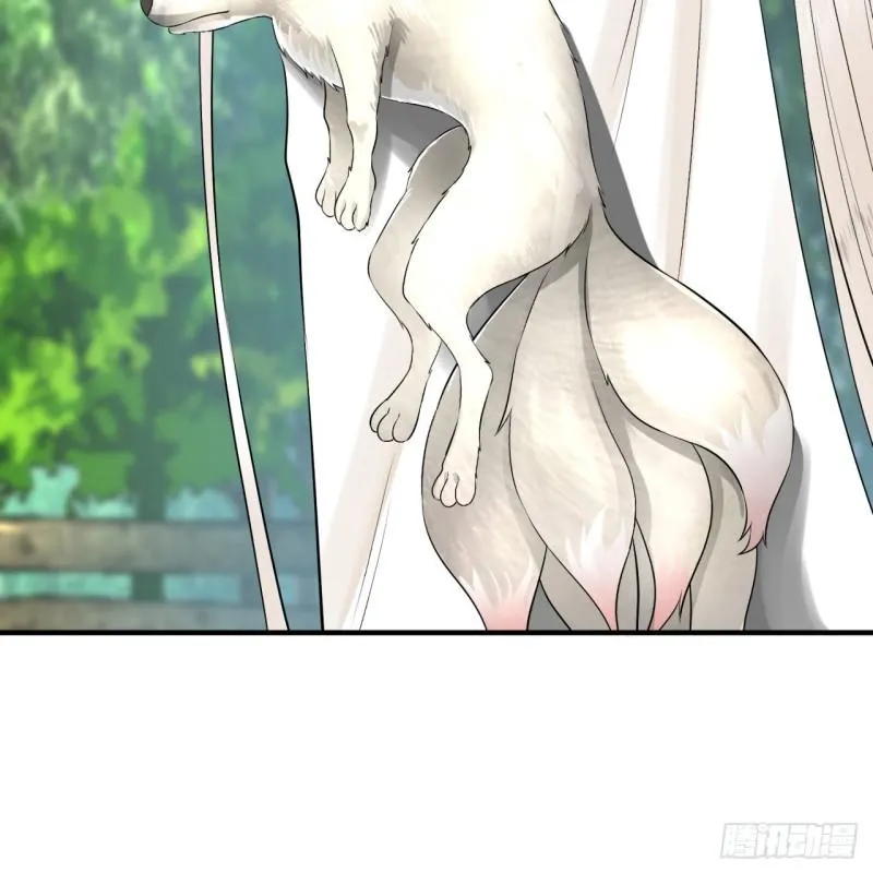 140回 姑娘，过两招？ 第51页