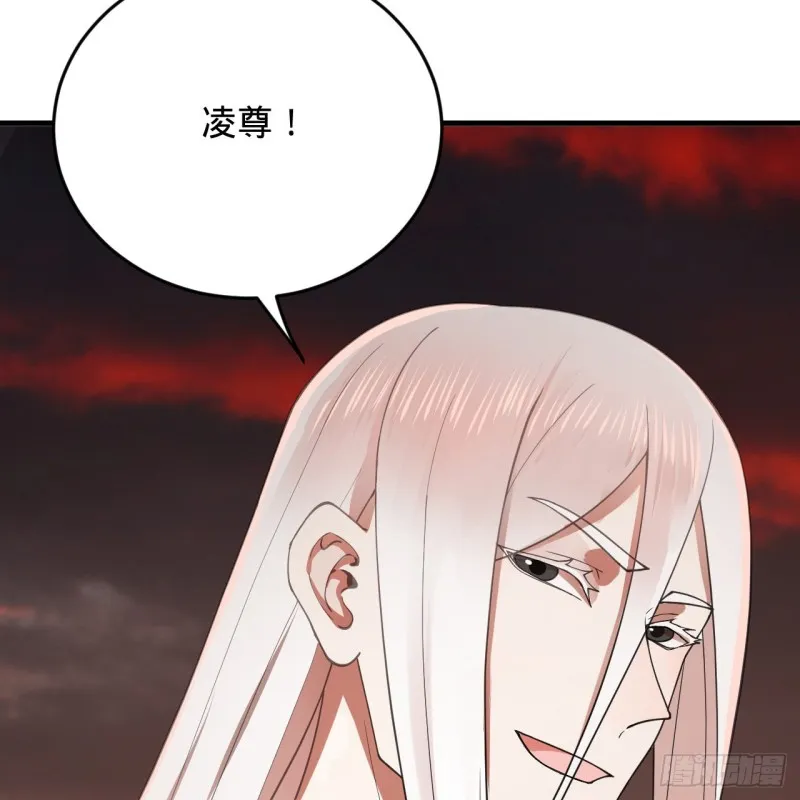 210回 实心铁木的反甲 第24页