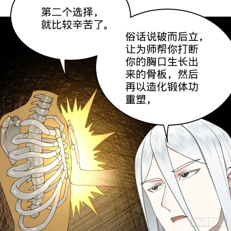 228 胸有骨板，坚不可摧 第67页