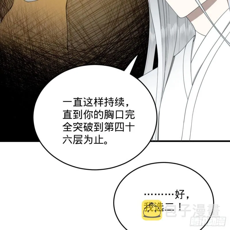 228 胸有骨板，坚不可摧 第68页
