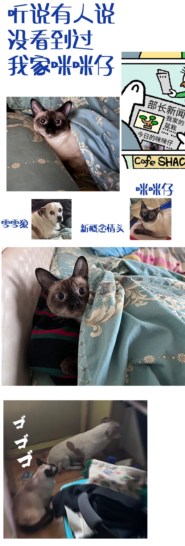 第290话 第2页