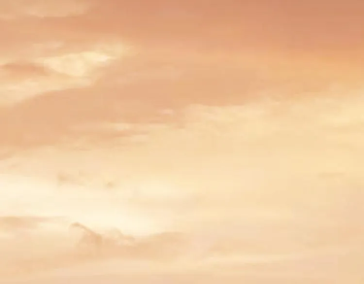 第137话 系统人 第43页