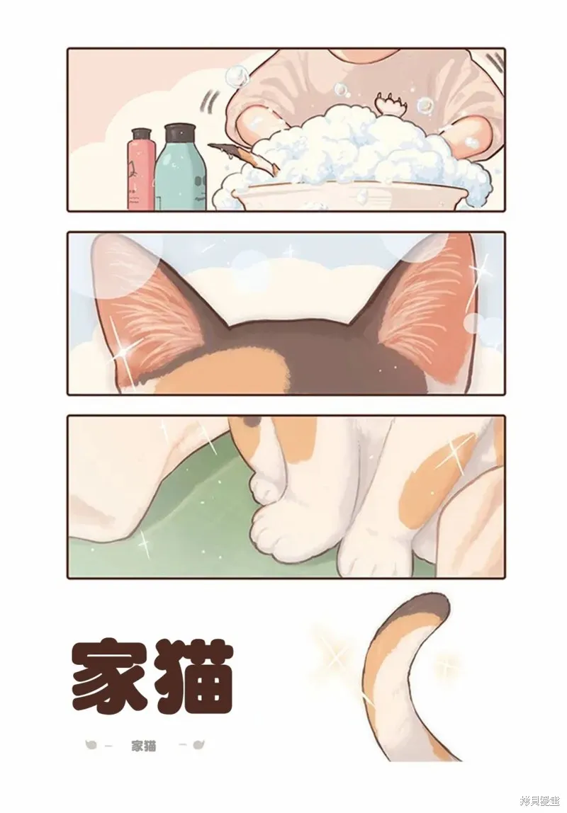 第17话 第1页