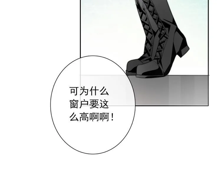 第126话 决斗，开始 第3页