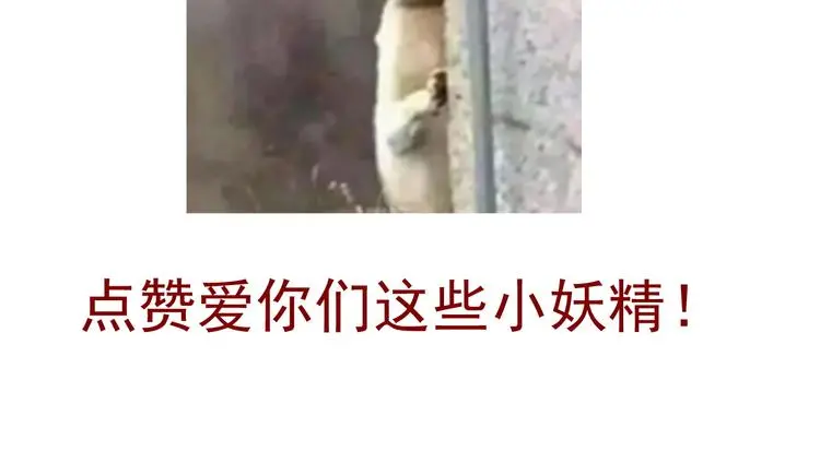 第66话 台球厅的复仇 第80页