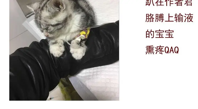第68话 做她男朋友 第92页