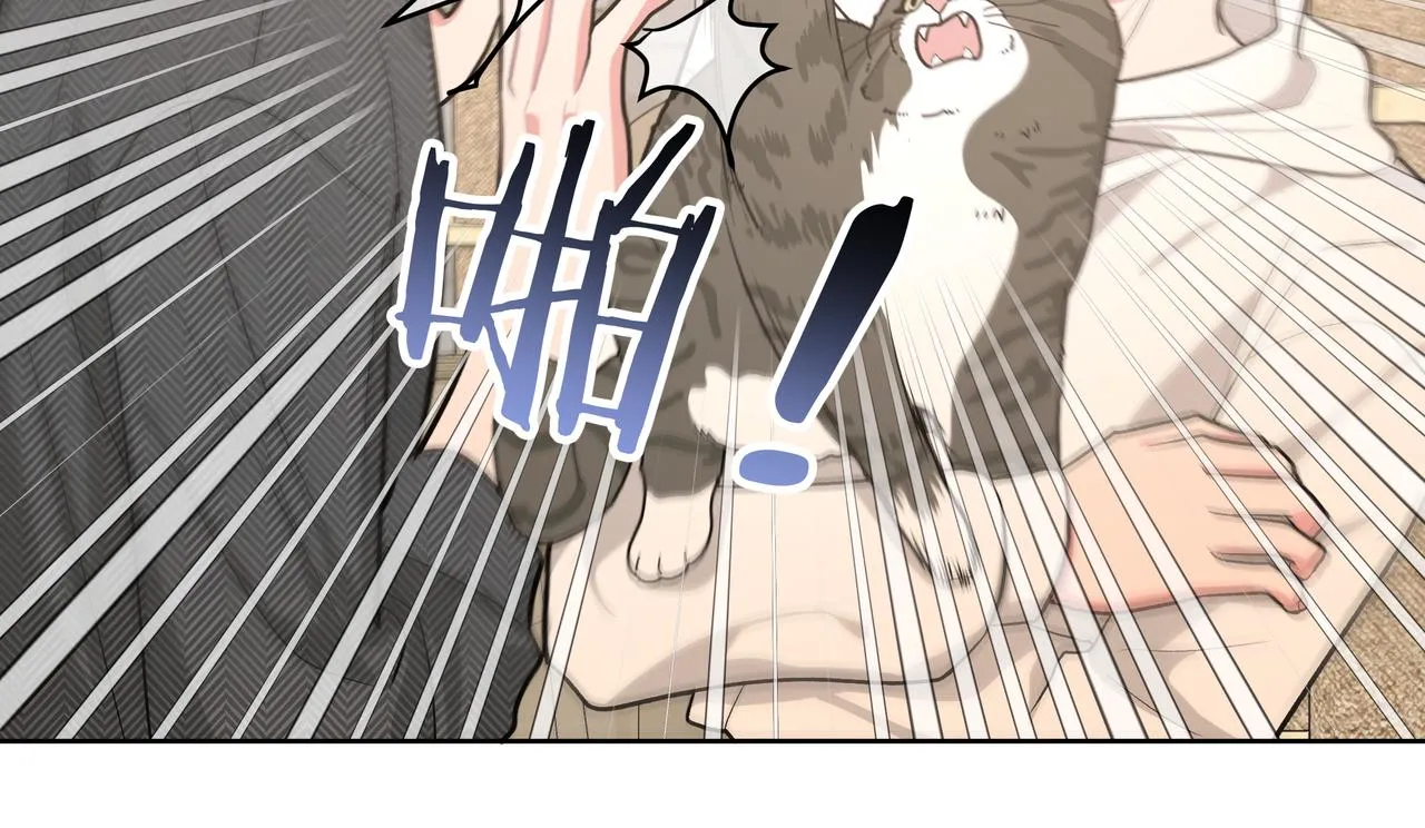 第61话 难道喜欢的是我？ 第41页