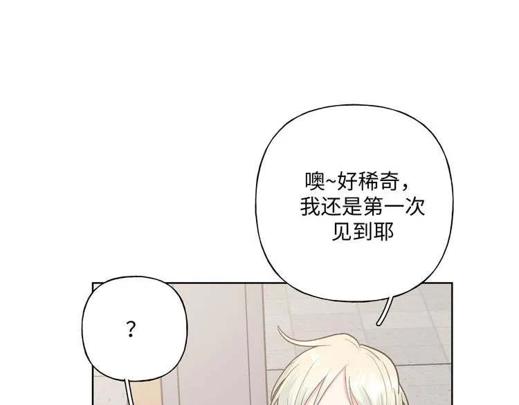 第31话 高级食物 第22页