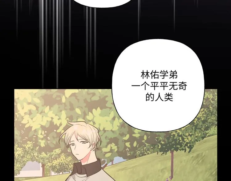 第31话 高级食物 第51页