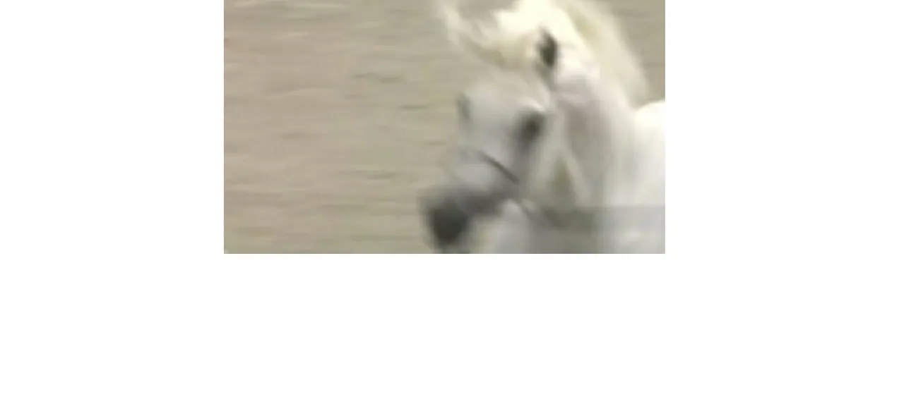 晚点更新……！ 第3页