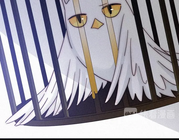 第81夜 深入魔女猎杀联盟 第11页