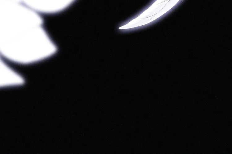第124夜 神明诉说的秘密 第5页