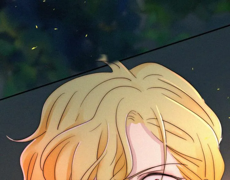 第142夜 走马灯与心脏 第141页