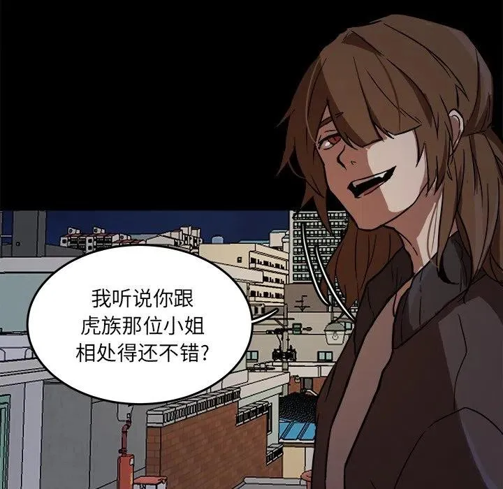 53 第41页