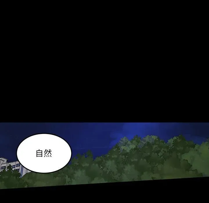 53 第78页