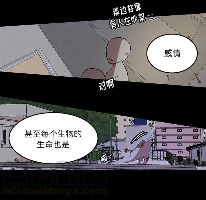 53 第79页