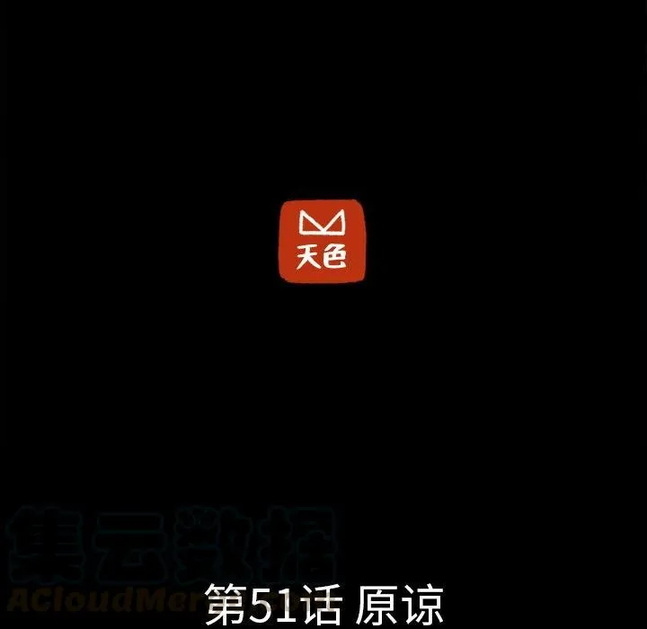 51 第25页